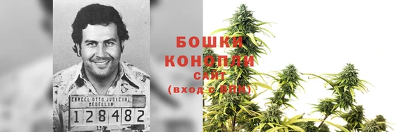 2c-b Алзамай