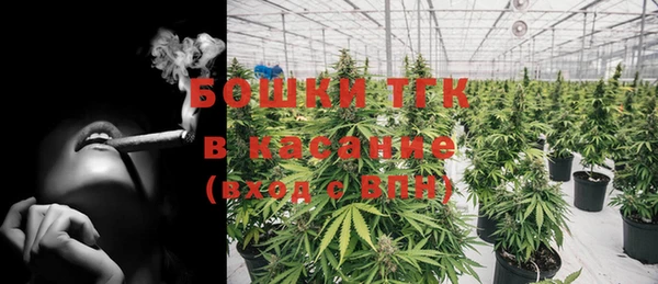 2c-b Алзамай