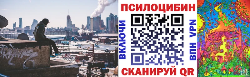 блэк спрут маркетплейс  Грязи  Псилоцибиновые грибы GOLDEN TEACHER  цена наркотик 
